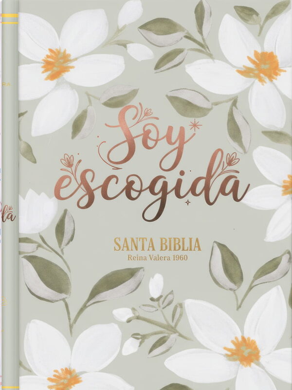 biblia-personalizada-032 Biblia personalizada 031